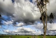 PG电子官方-鹿岛鹿角备战细节曝光，冲击世俱杯全力以赴