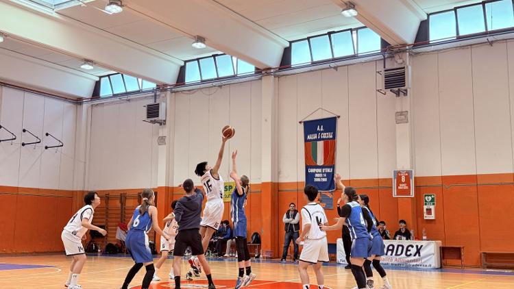 关于欧洲篮球联赛冠军诞生，赛后庆功如期举行的信息