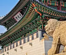 韩国奇迹少年完美表现，刷新纪录速度的简单介绍